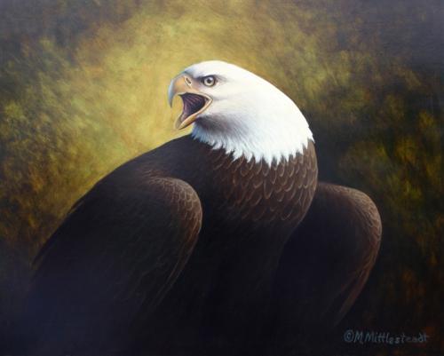 Eagle-Portrait