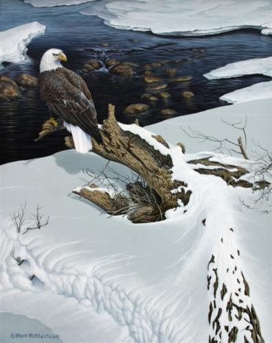 Eagle-Snowscape