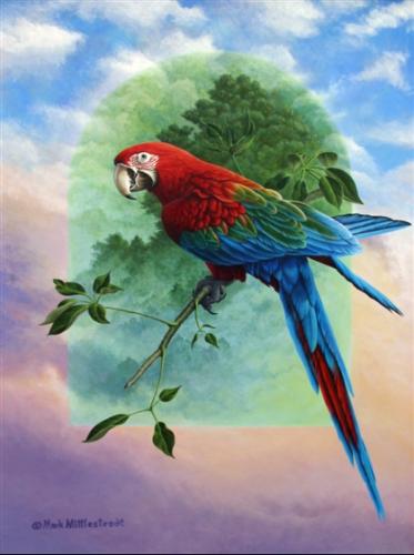 Green-Wing-Macaw