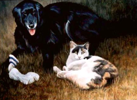 Pet-Dog-Cat