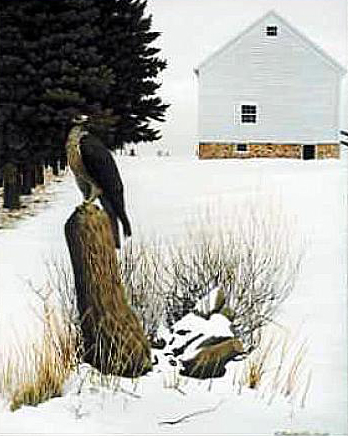 Redtail-and-Barn