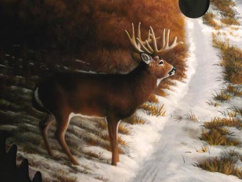 Whitetail-Deer-detail