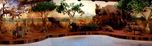 africanpanorama-mural-museum-exhibit