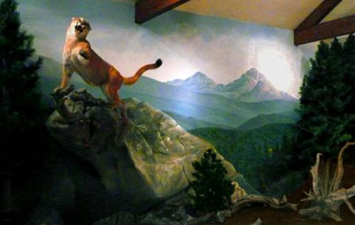 cougar-mural-museum-exhibit